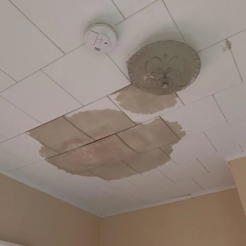Ceiling Water Damage Repair in Wesson, MS