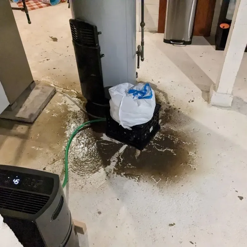 Sewage Backup Cleanup Service in Wesson, MS